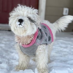 Meet your Posher, Mirna